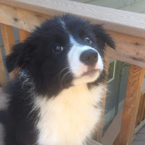 Meet your Posher, Caroline krepel